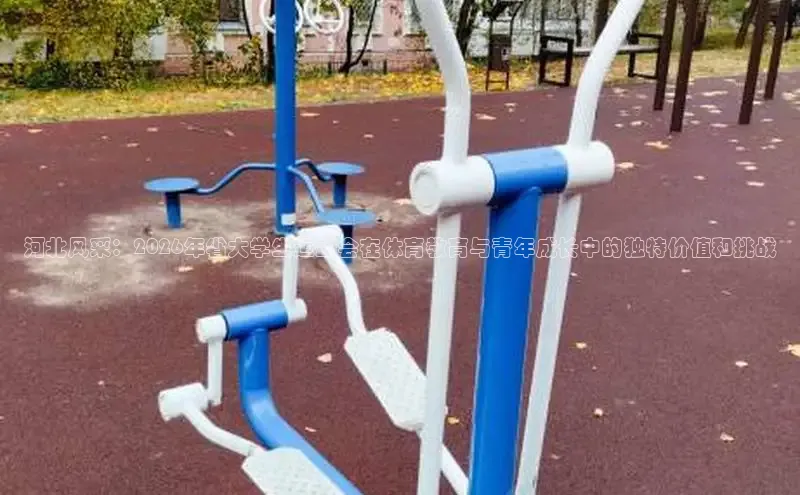 熊猫体育
